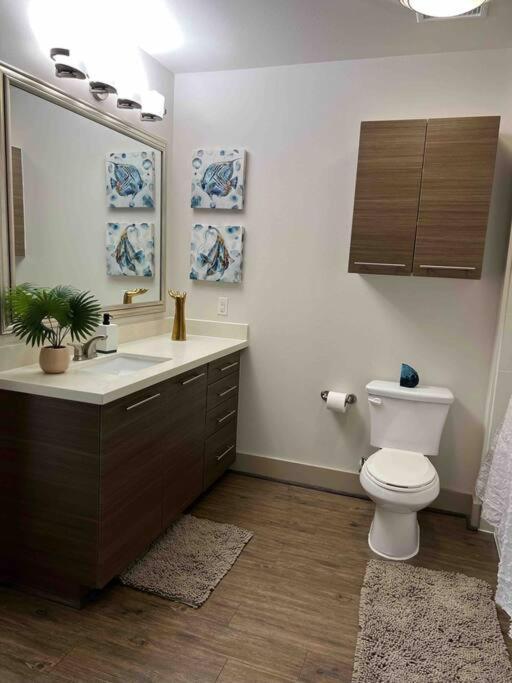 Lovely 1 Bedroom Apt Midtown Htx 休斯敦 外观 照片